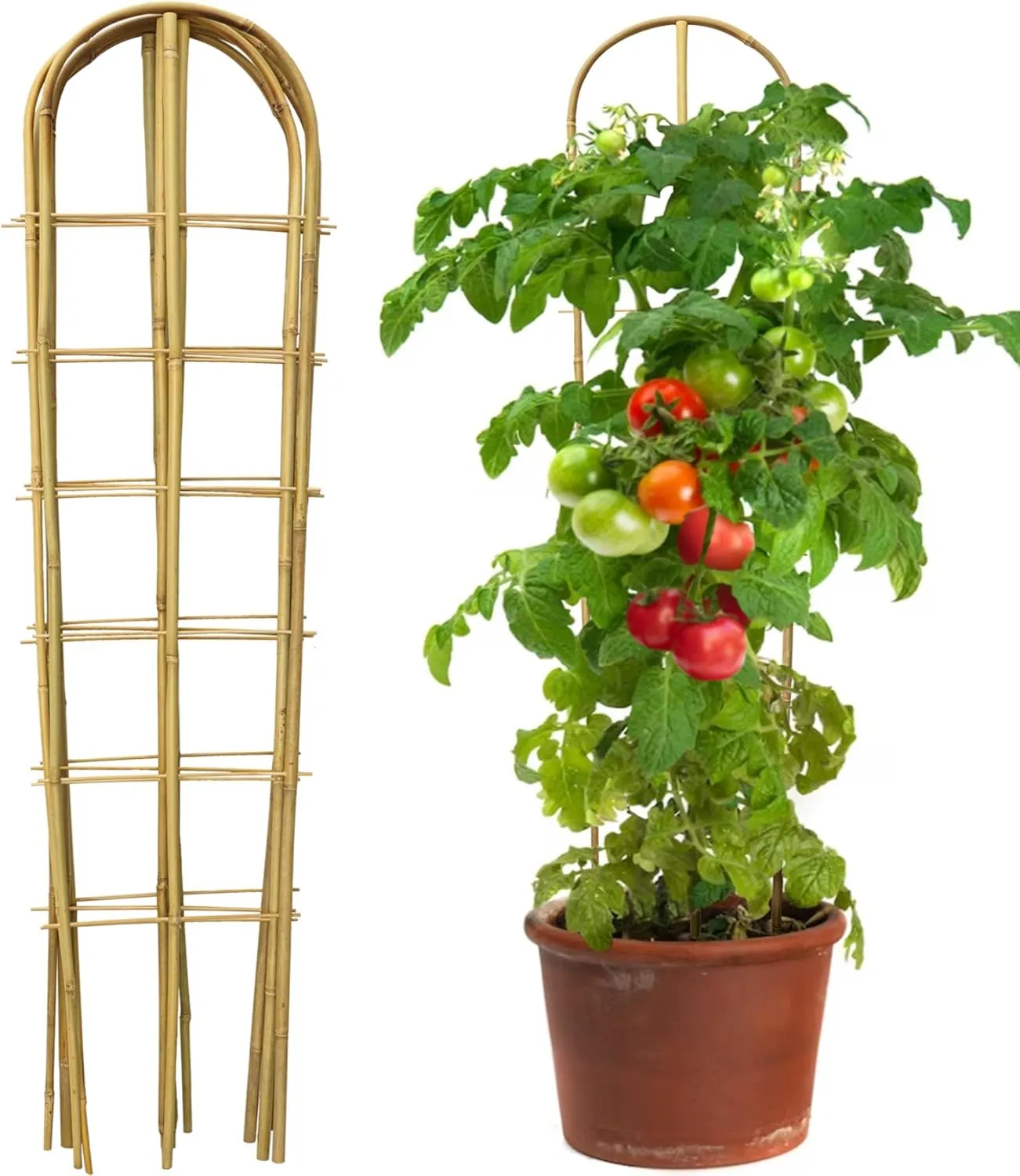 5 Pack 4 Feet U-Shape Bamboo Trellis, Natural Bamboo Trellis for Climbing Plants, Vegetables, Cucumber, Tomato, Outdoor and Indoor Potted Plants