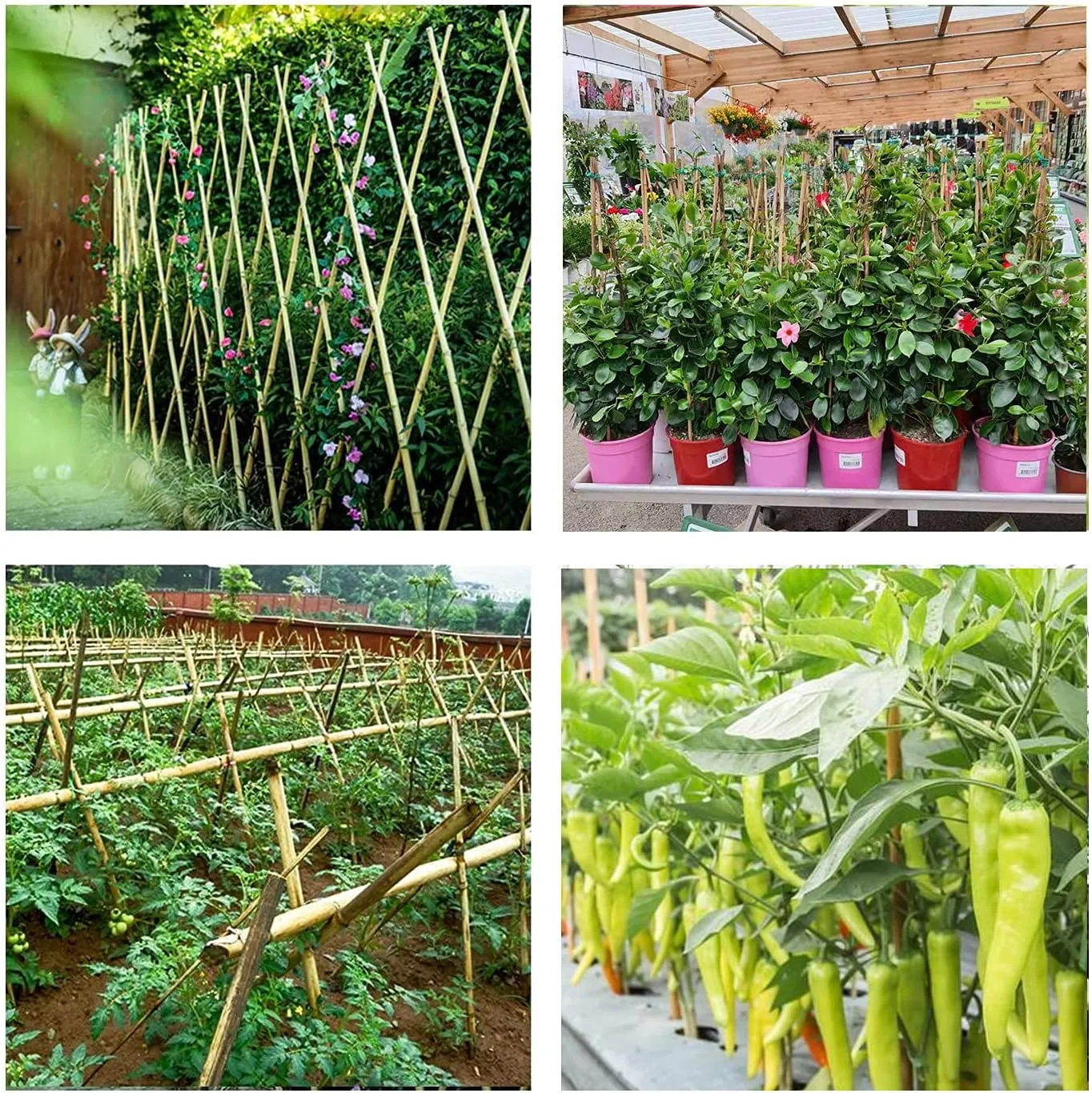 Bamboo Stakes 4ft Natural Plant Stakes for Tomatoes, Beans, Climbing Plants Support - 25 Pack Bamboo Sticks for Plants
