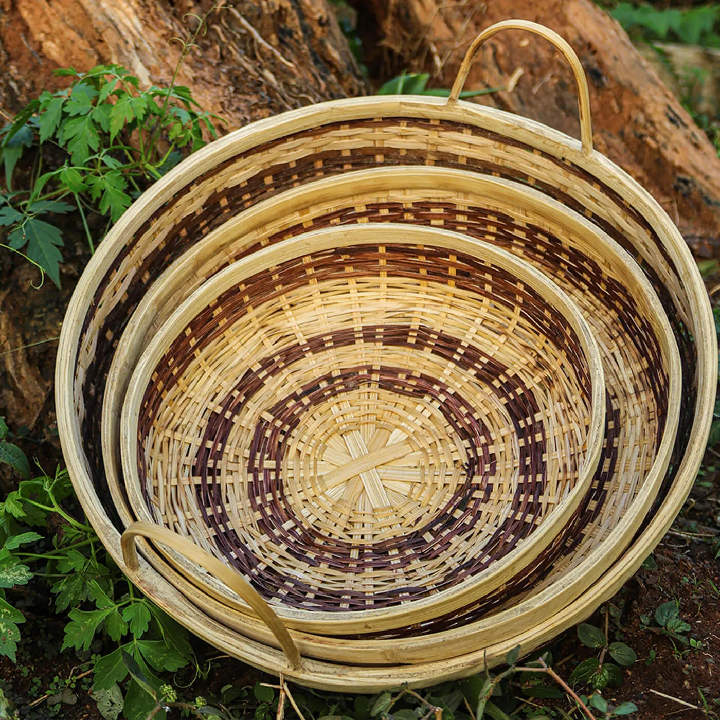 Handmade Bamboo Basket with Handle