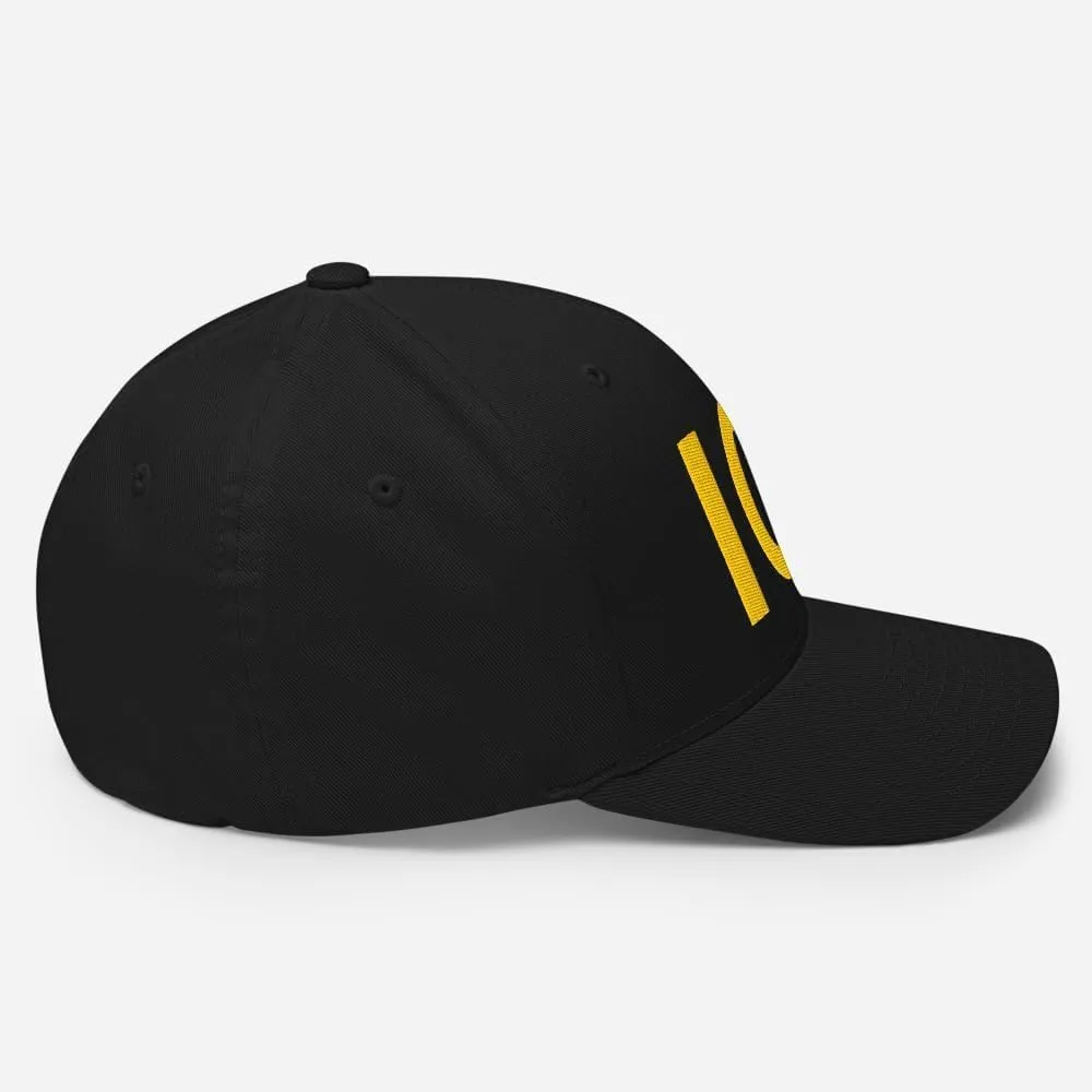 ICE Hat - Embroidered Structured Flex Fit Cap US Immigration Border Hat