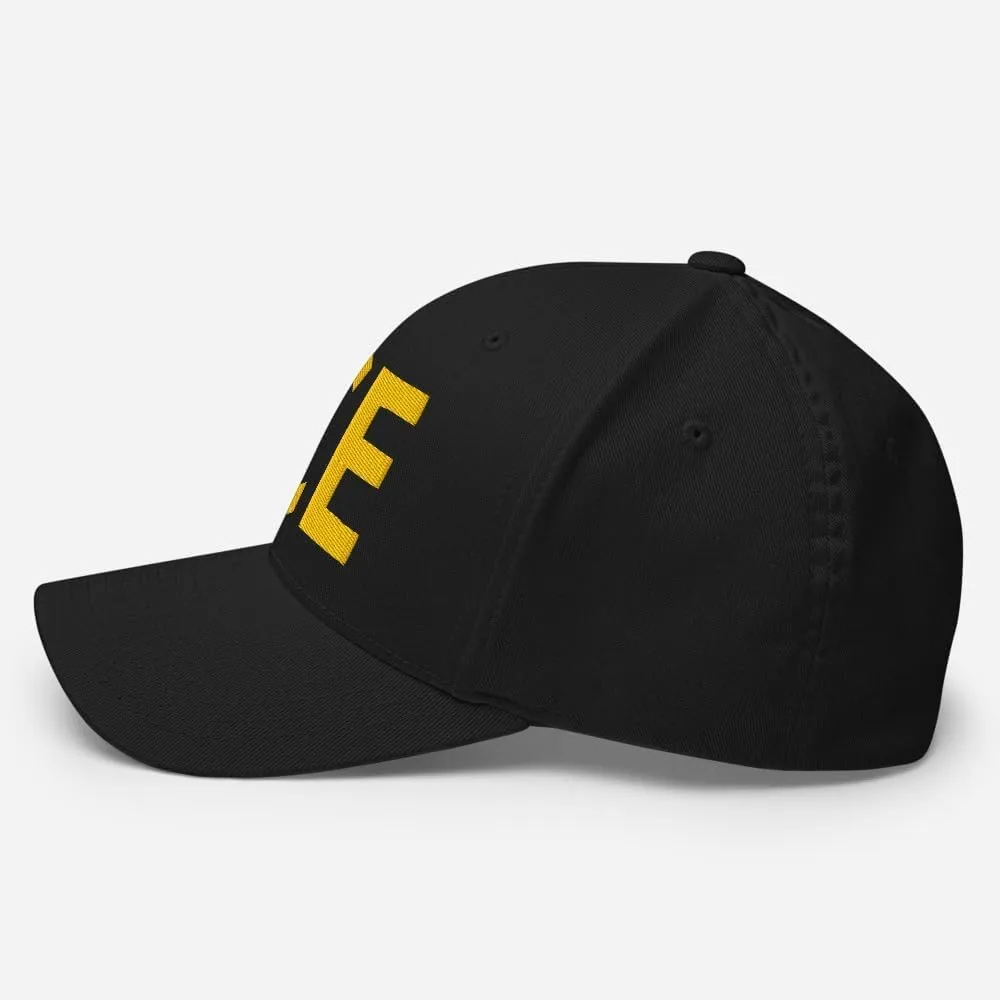 ICE Hat - Embroidered Structured Flex Fit Cap US Immigration Border Hat