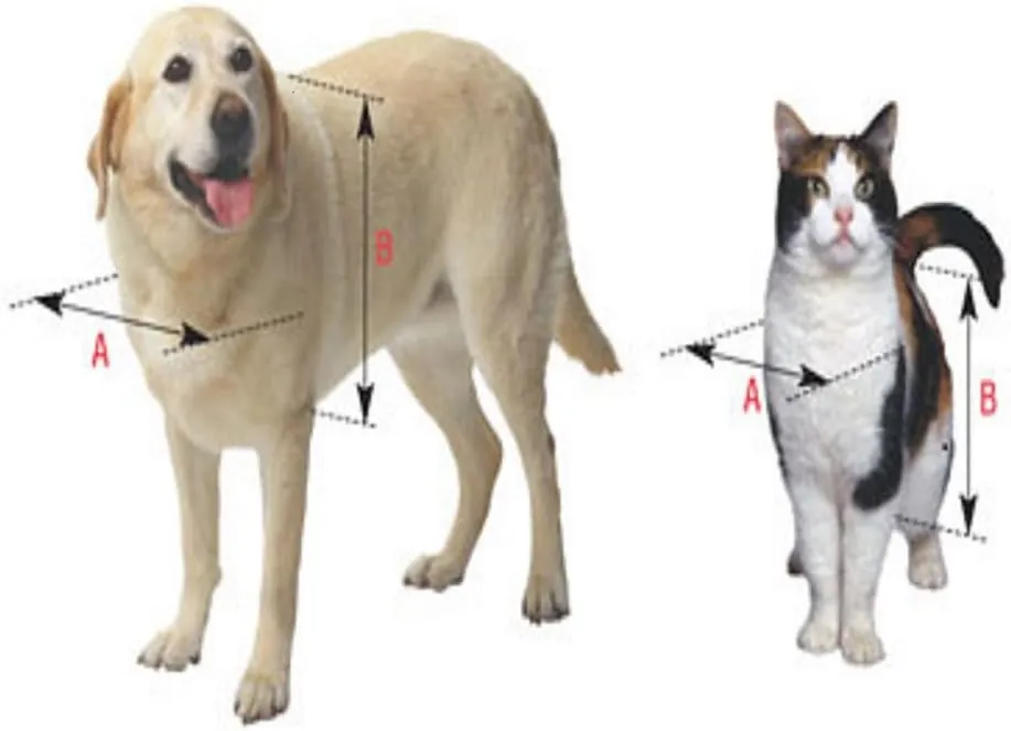 Ideal Pet Products Replacement Flap for Ruff Weather Pet Door, Extra Large, 9.75" x 17" Flap Size