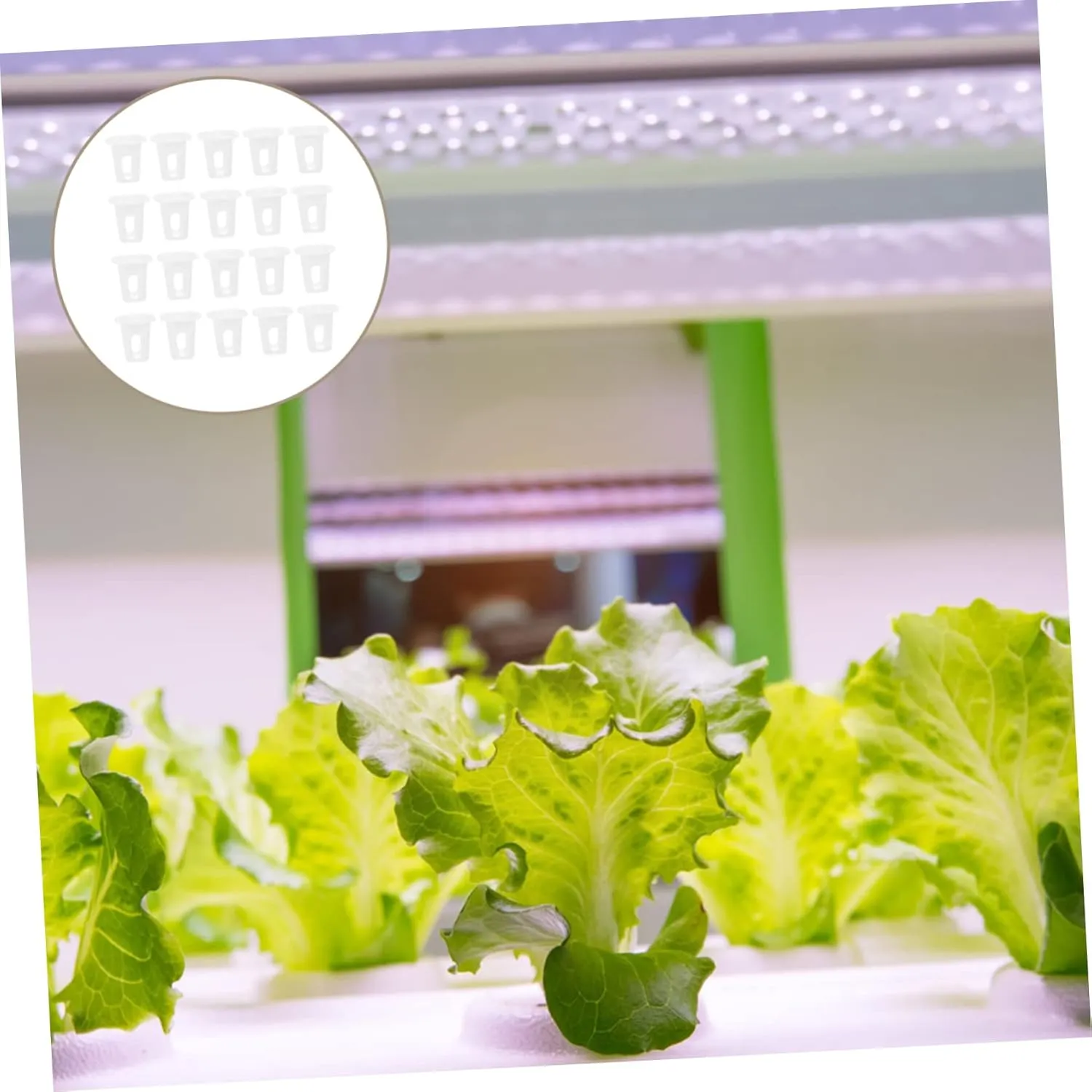 KESYOO 1set Hydroponic Planting Basket Planter Indoor Herb Garden Indoor Plants Outdoor Growing Gardening Cups Basket Grow Nursery Pot Pp White 100pcs