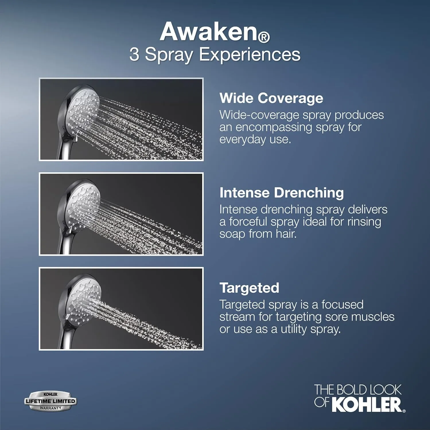 Kohler 98362-G-CP Awaken B90 Multifunction 1.75 GPM Handshower Kit, Polished Chrome