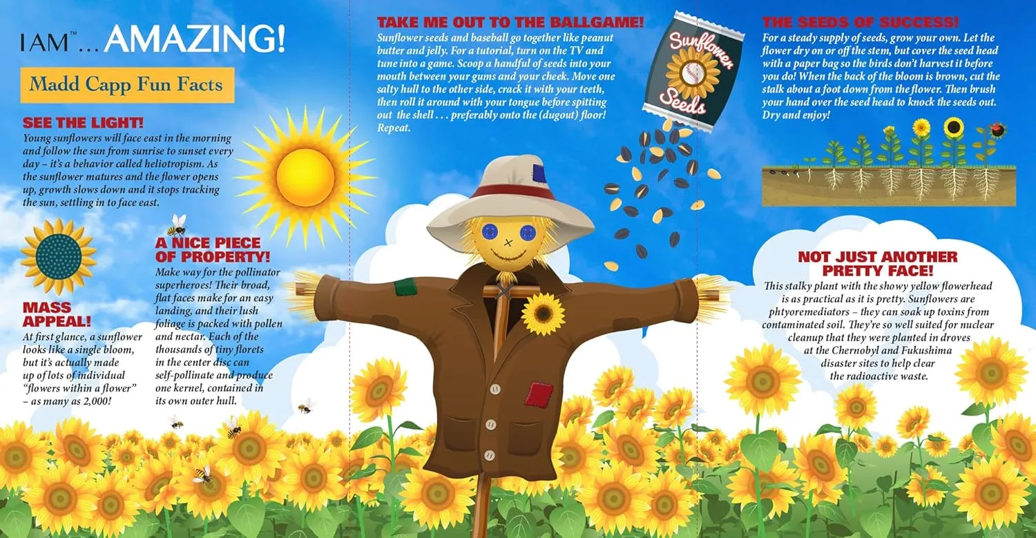 Madd Capp: I Am Sunflower - 350 Piece Jigsaw Puzzle - 8004 – Ages 10 , Unique Floral-Shaped Border, Challenging Random Cut, Includes Educational Madd Capp Fun Facts
