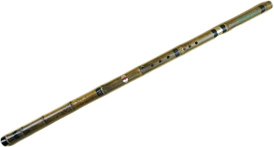 OrientalMusicSanctuary ATTESTED: Dong Xue Hua Entry-Level Jointed Purple Bamboo Xiao Flute - Chinese Shakuhachi Xiao Flute (Right-Handed Key of G)