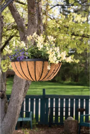 Panacea 88536 Cotsworld Series Hanging Basket with Liner, 18-Inch
