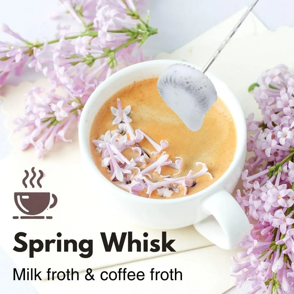 Rechargeable Milk Frother Handheld 3 Speed Coffee Foamer [3 Whisk] Electric Drink Mixer for Latte, Cappuccino, Coffee, Eggs, Hot Chocolate, Mint
