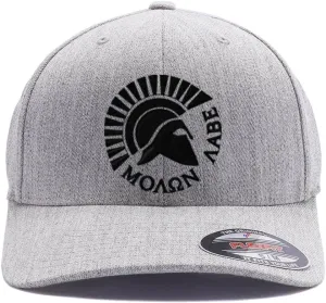 Spartan Warrior Helmet Molon Labe - Come and Take It Custom Embroidered Flex Fitted Baseball Hat