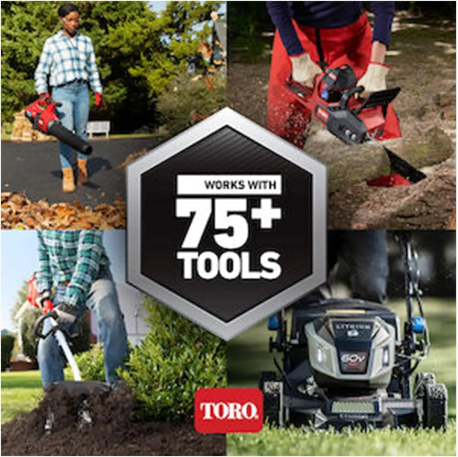 Toro Flex-Force Power System 60-Volt Max 2.5 Ah Lithium-Ion L135 Battery