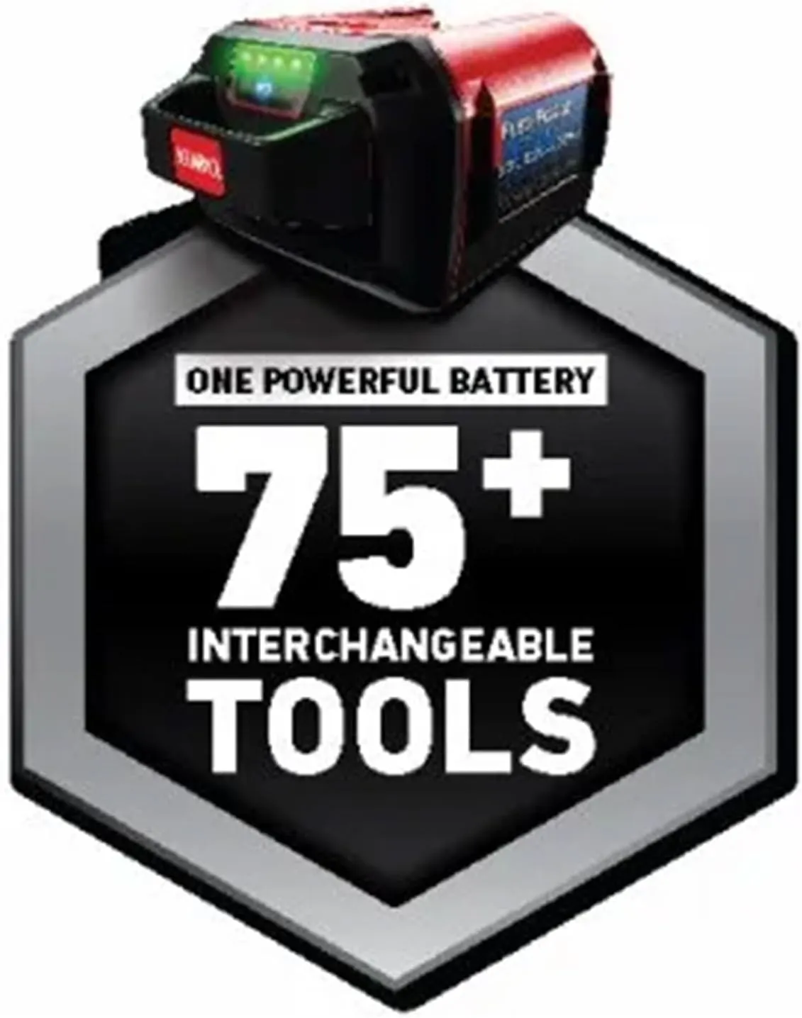 Toro Flex-Force Power System 60-Volt Max 2.5 Ah Lithium-Ion L135 Battery